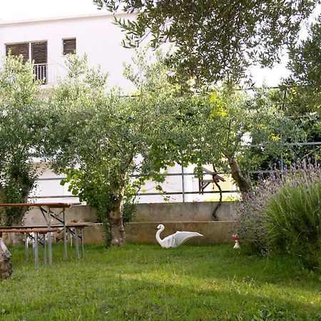 Pepi Apartments 2 Zadar Exterior photo